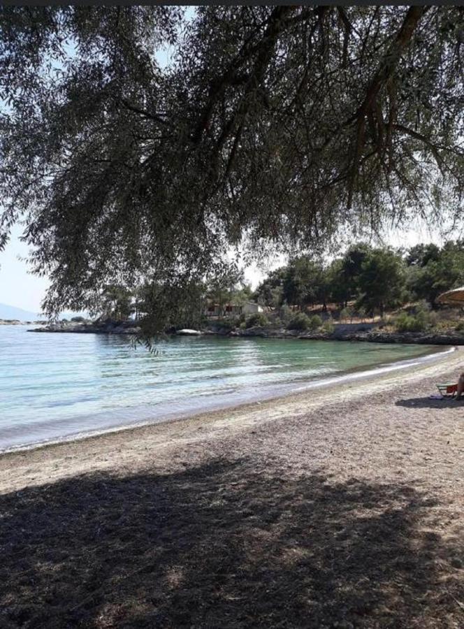 Villa Alexander'S Kritharia  Esterno foto